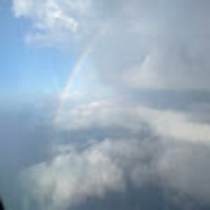 Meet your Posher, Abigail